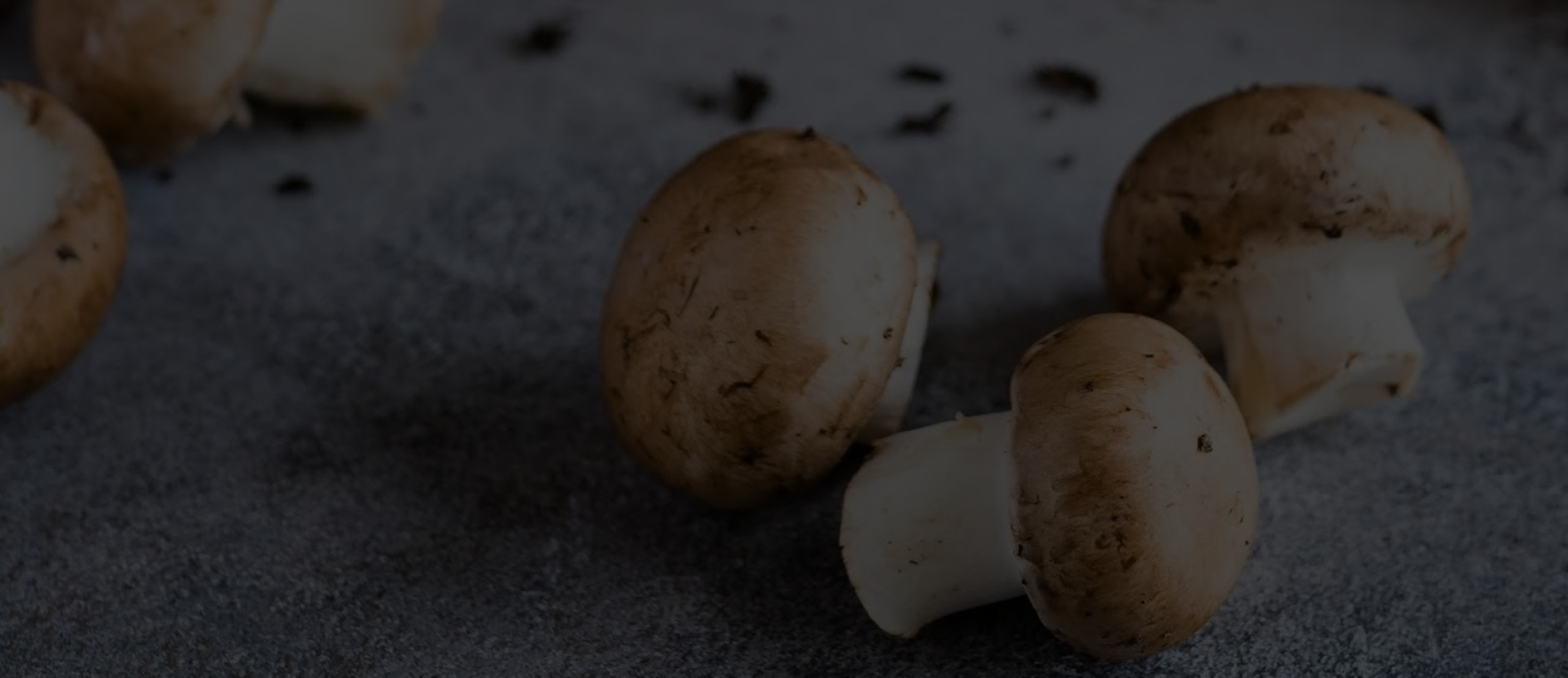 Mushroom